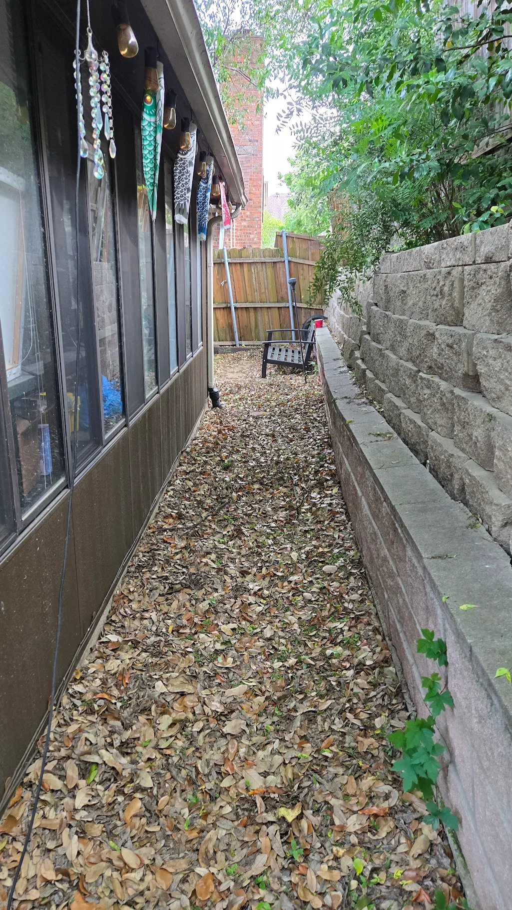 Side yard before cleanup