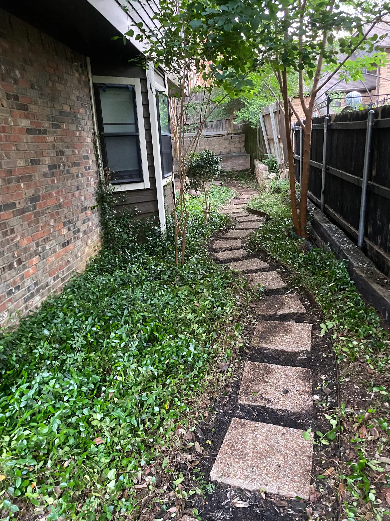 Stepping stone path