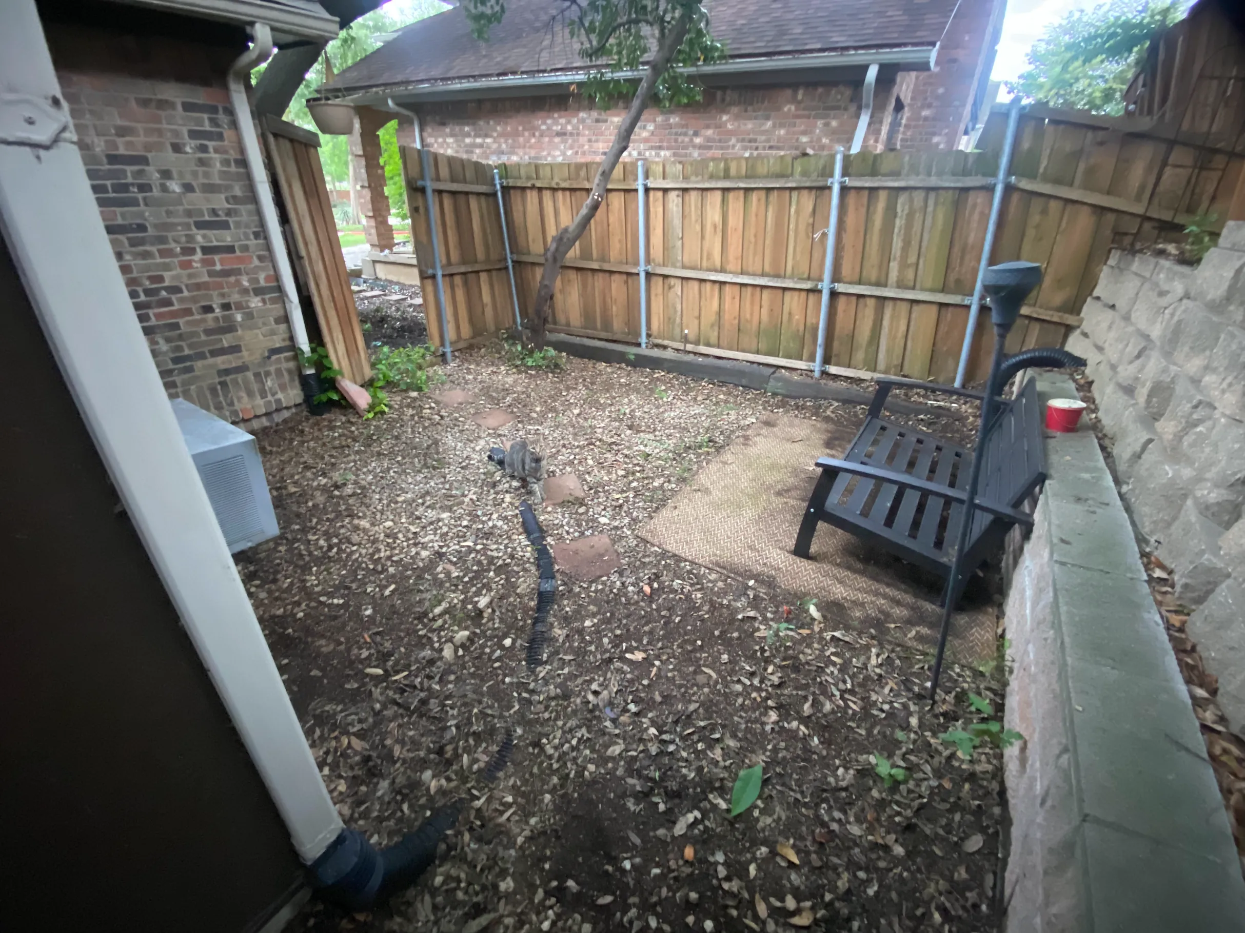Backyard after cleanup