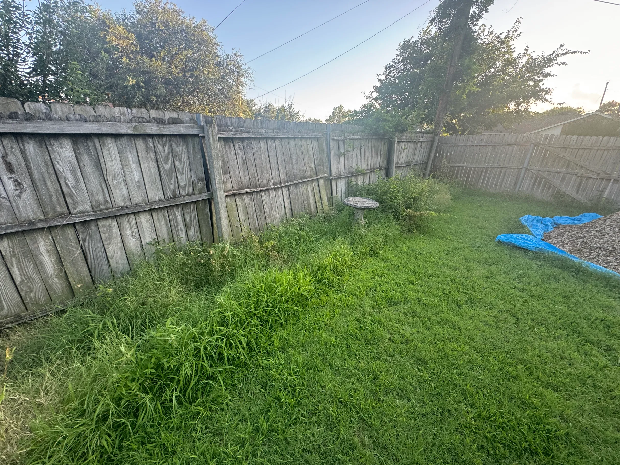Lawn maintenance result