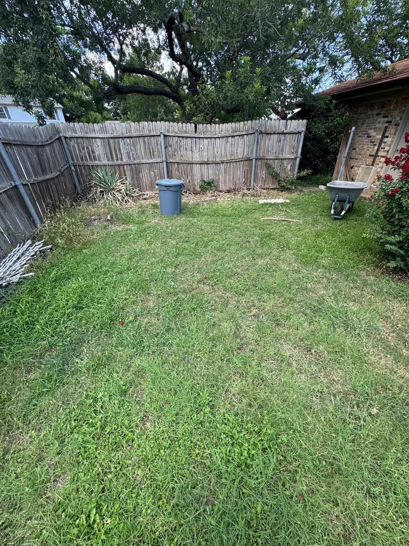 Yard before maintenance