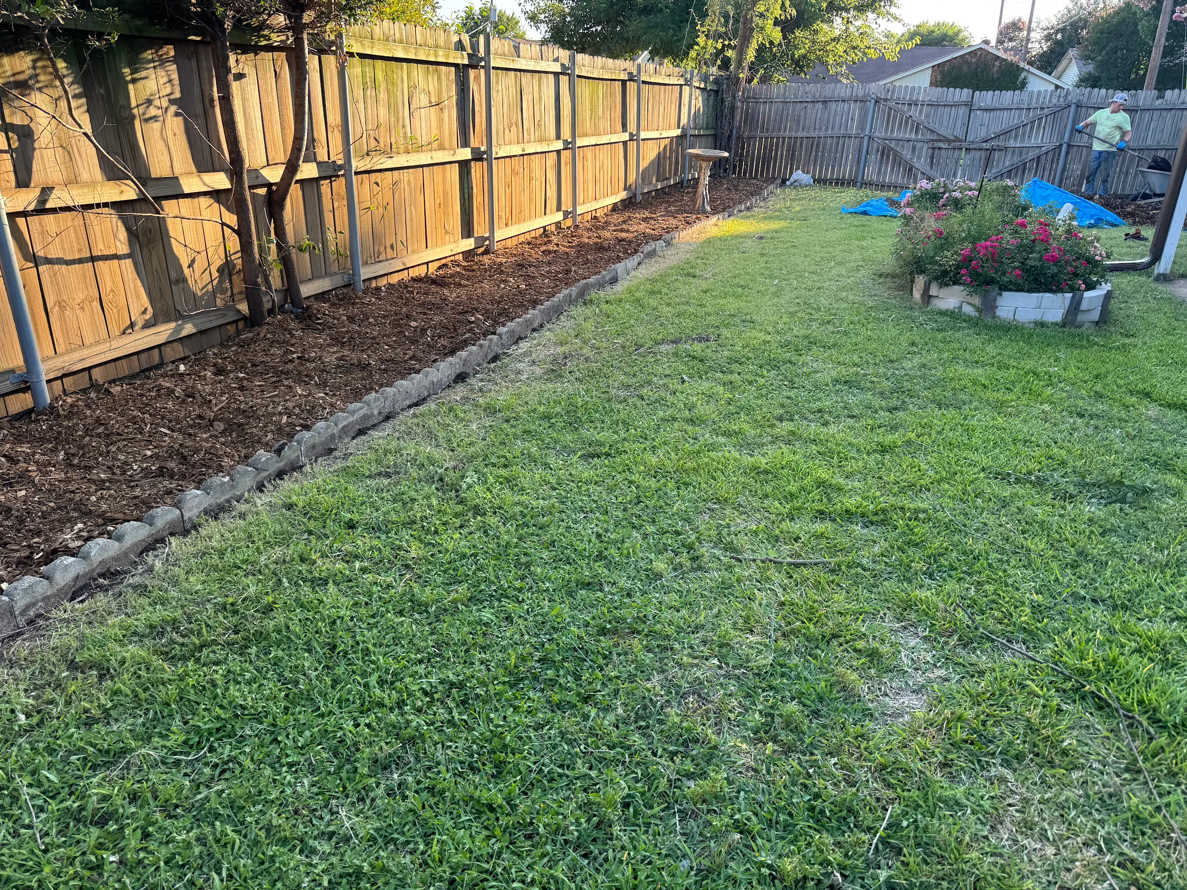 Yard maintenance